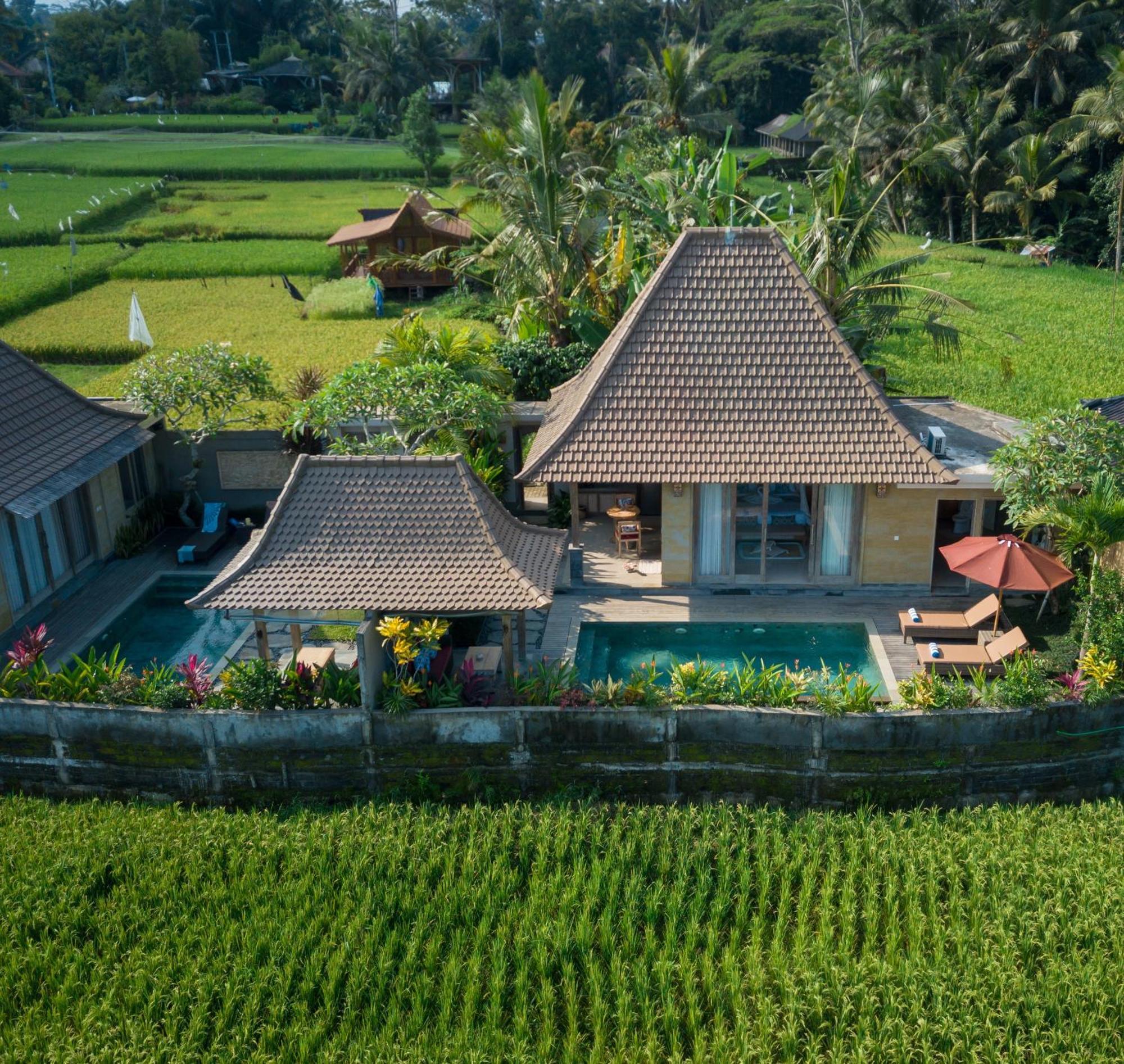 Happy Honeymoon Private Villa ウブド エクステリア 写真